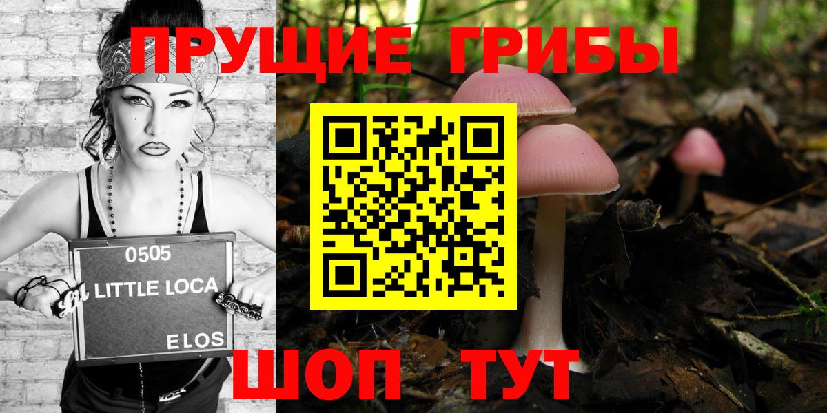 Благодарный  Псилоцибиновые грибы мухоморы  Вход с VPN 
