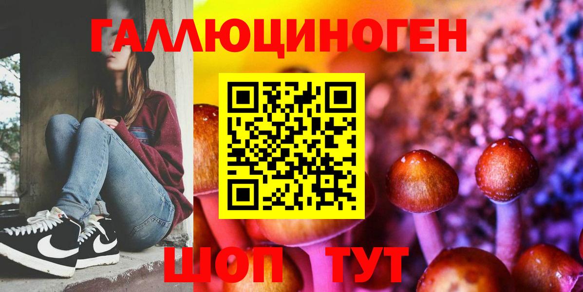 Галлюциногенные грибы Cubensis Благодарный